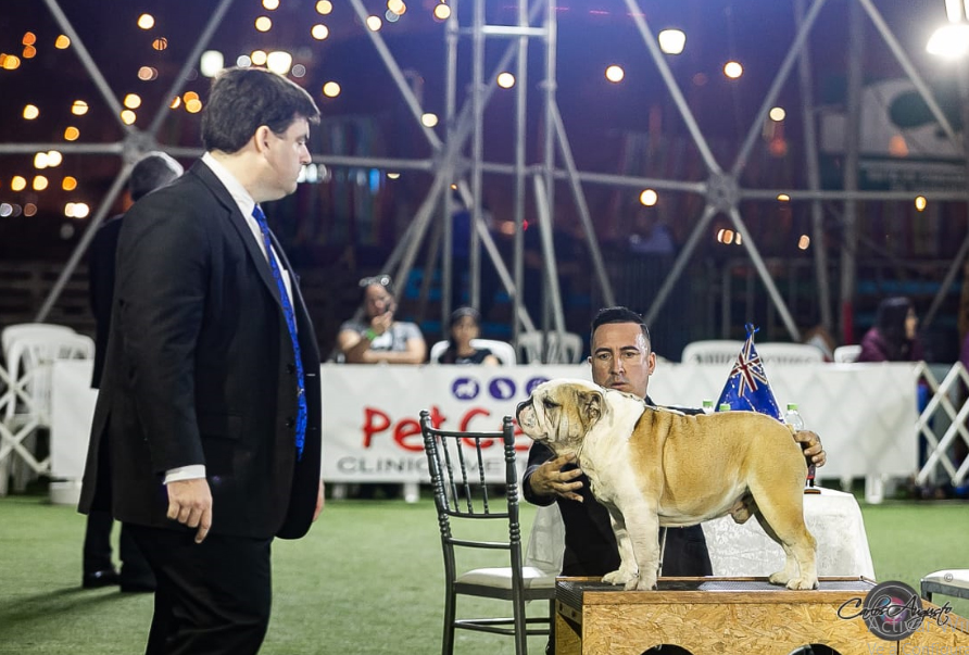 LEONARDO DI TONY BRUS