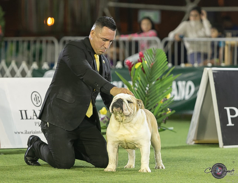 LEONARDO DI TONY BRUS