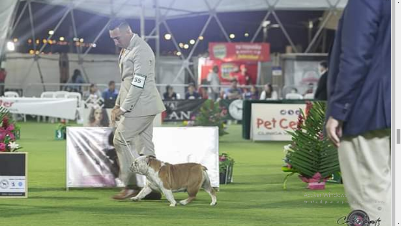 LA CHATA HIGHT QUALITY 