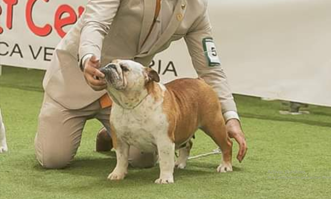 LA CHATA HIGHT QUALITY 