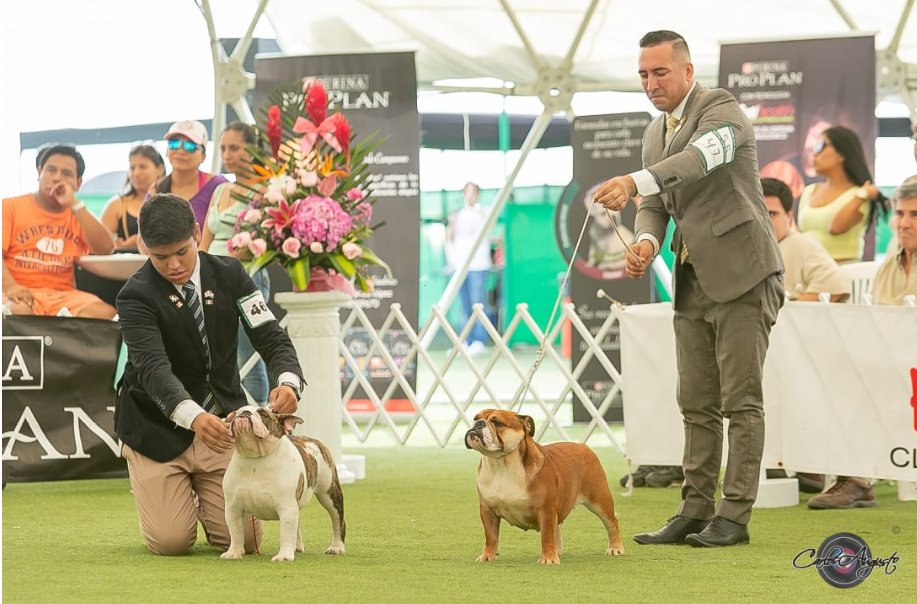 JASMIN DEL BOQUER�N 