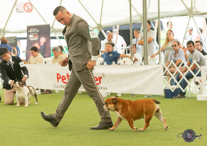 JASMIN DEL BOQUER�N 