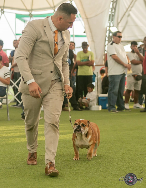 JASMIN DEL BOQUER�N 