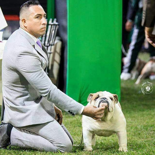 MULTI CH BREDWARDINE LORD ANTONIO GARCEL